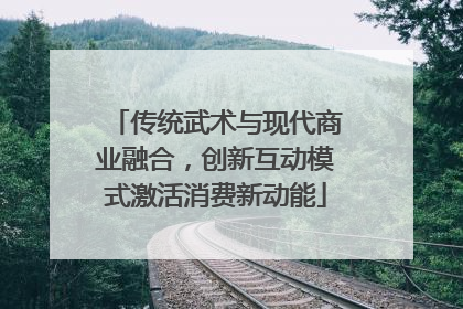 传统武术与现代商业融合，创新互动模式激活消费新动能